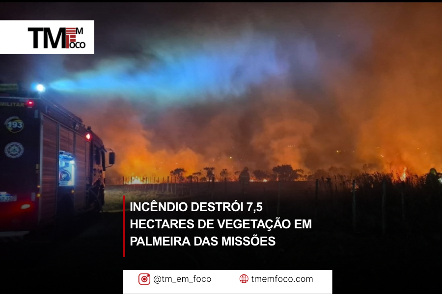 Incêndio destrói 7,5 hectares de vegetação em Palmeira das Missões